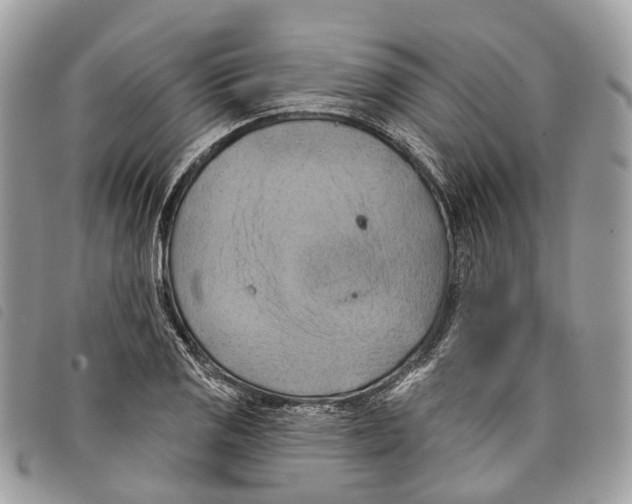 X0000097831125200804111033