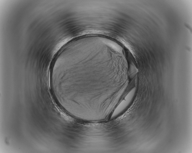 X0000097831127200804111033