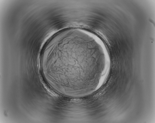 X0000097831128200804111033