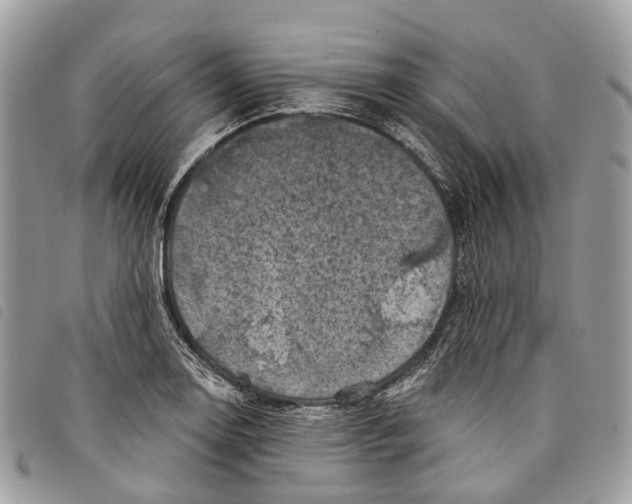 X0000097831130200804111033