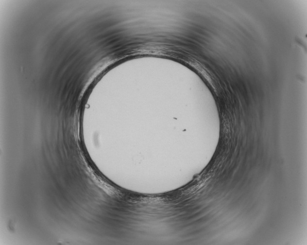 X0000097831131200804111033