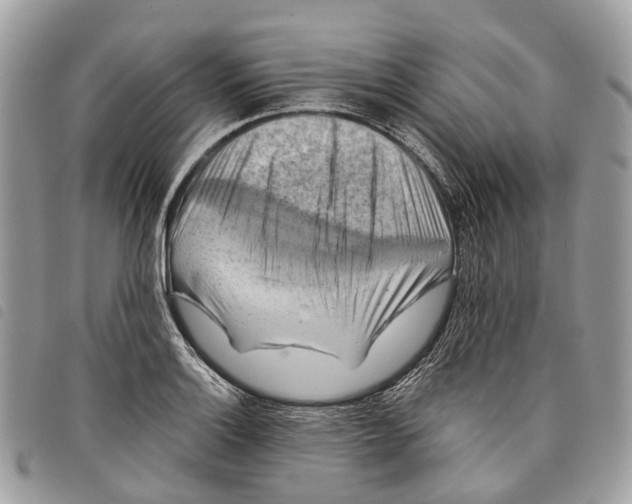 X0000097831132200804111033