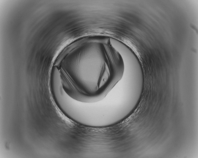 X0000097831136200804111033