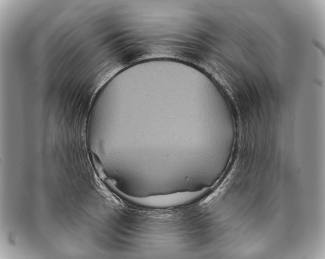 X0000097831137200804111033