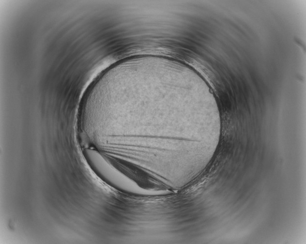 X0000097831139200804111033