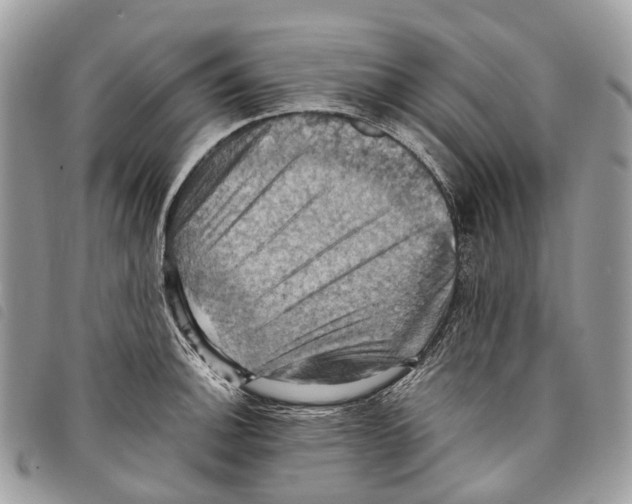 X0000097831140200804111033