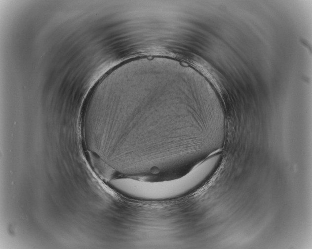 X0000097831141200804111033