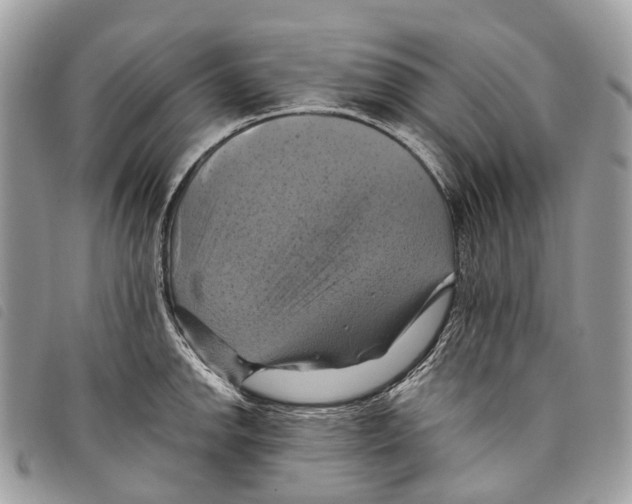 X0000097831142200804111033