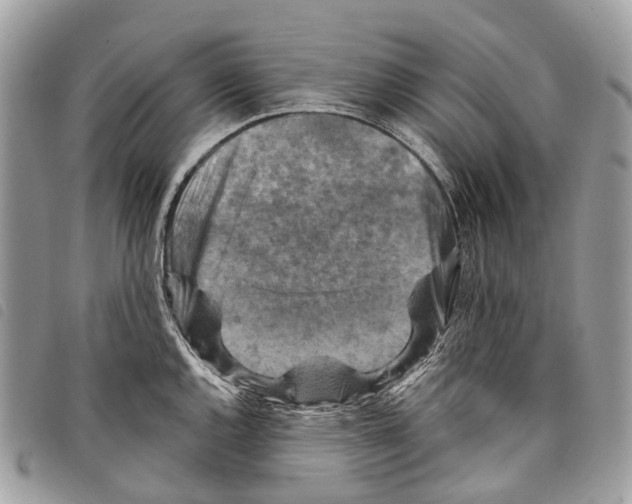 X0000097831144200804111033