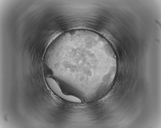 X0000097831145200804111033