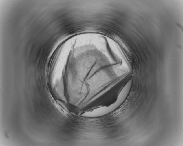 X0000097831148200804111033