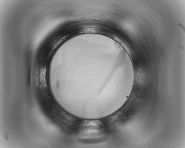 X0000097831150200804111033