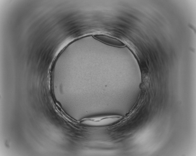 X0000097831151200804111033