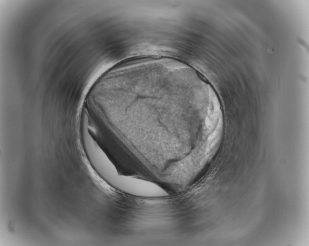 X0000097831152200804111033