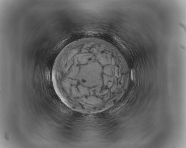 X0000097831155200804111032