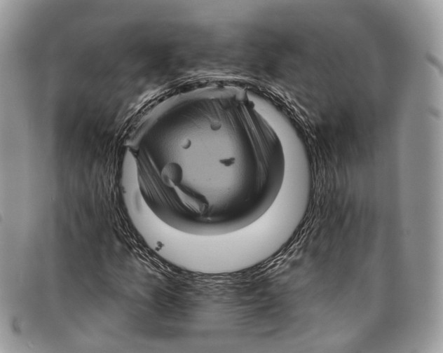 X0000097831157200804111032