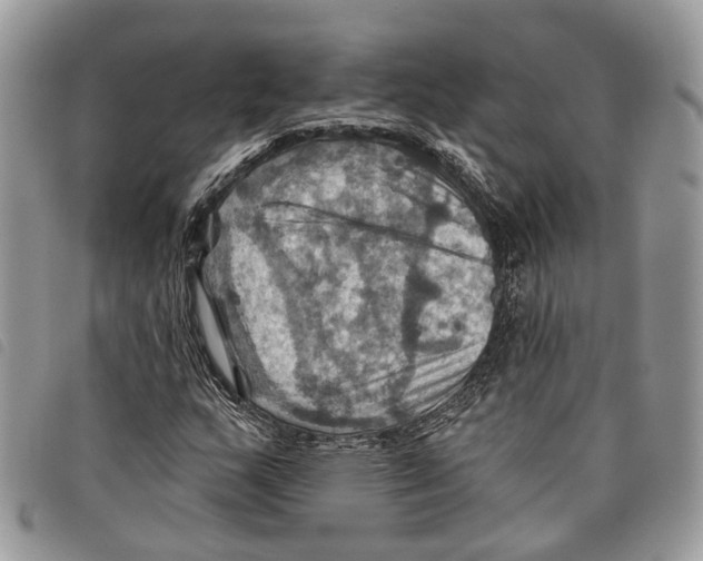 X0000097831159200804111032