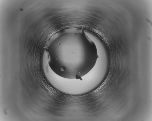 X0000097831161200804111032