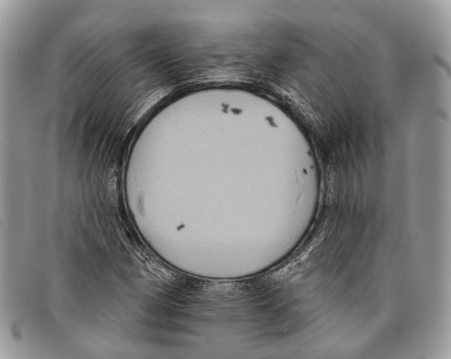 X0000097831162200804111032