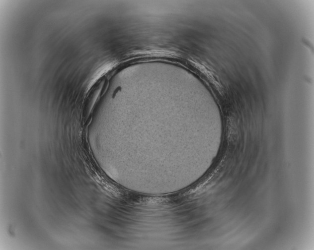 X0000097831163200804111032