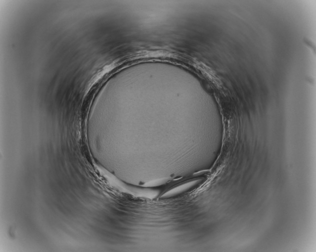 X0000097831165200804111032