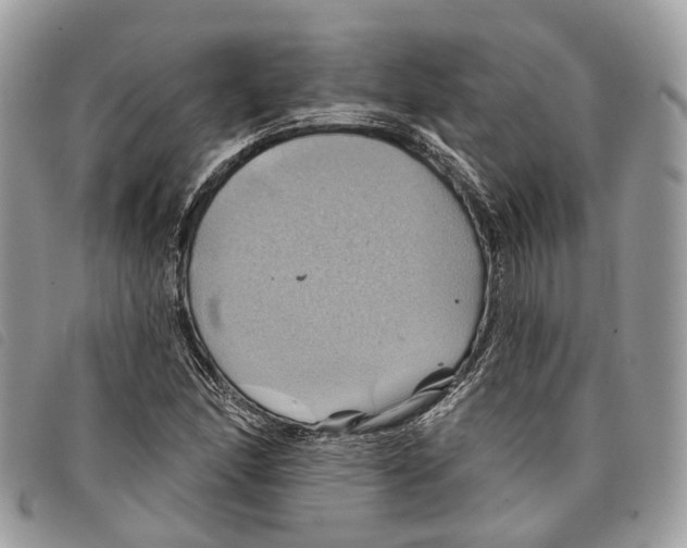 X0000097831166200804111032