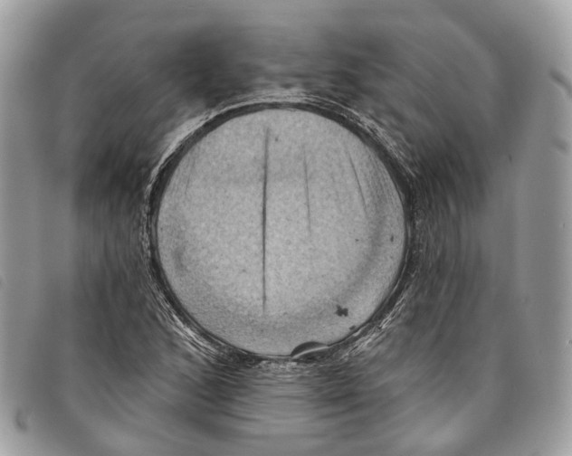 X0000097831168200804111032