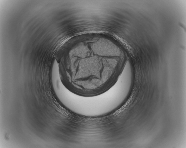 X0000097831169200804111032