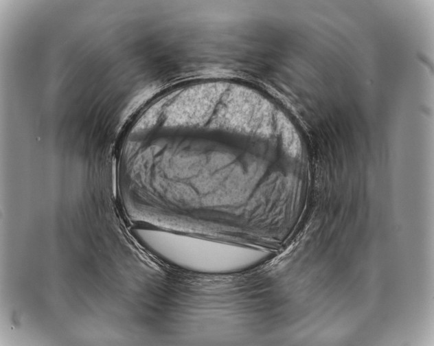 X0000097831171200804111032