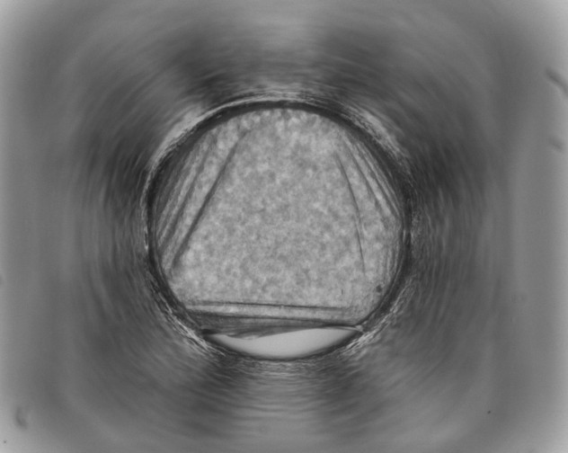 X0000097831172200804111032