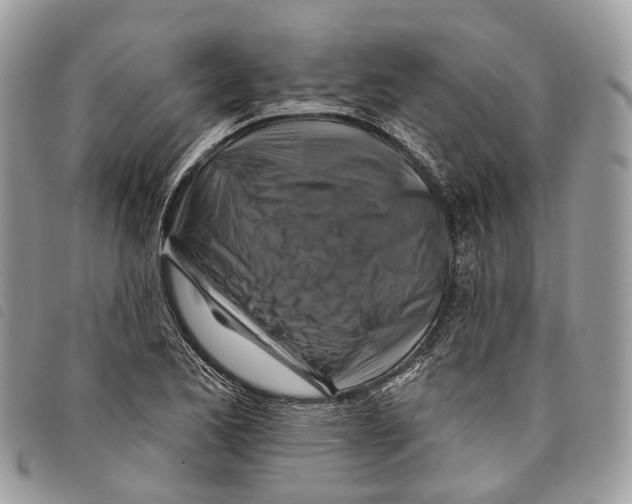 X0000097831173200804111032