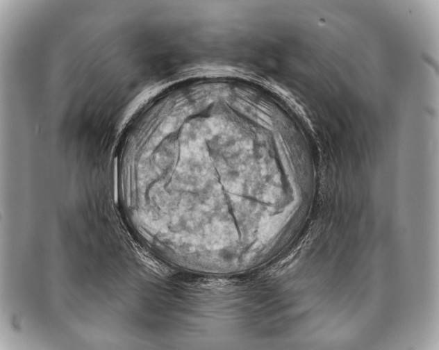 X0000097831175200804111032