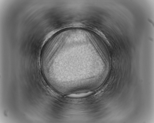 X0000097831176200804111032