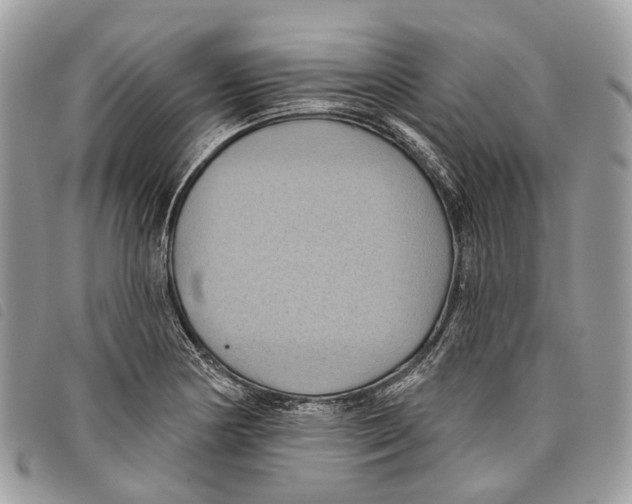 X0000097831178200804111032