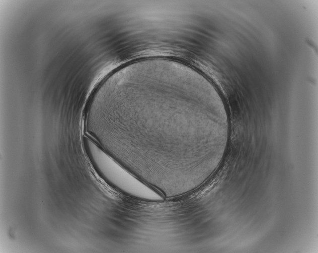 X0000097831179200804111032