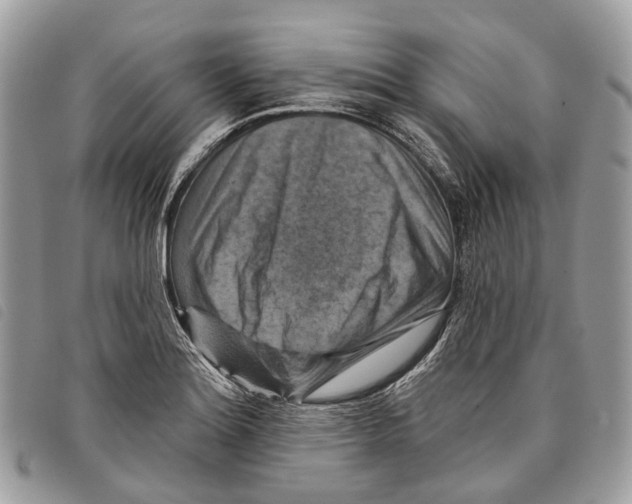 X0000097831180200804111032