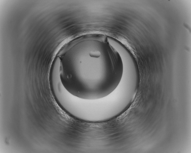 X0000097831181200804111032