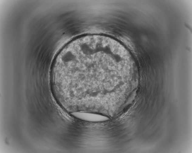 X0000097831183200804111032