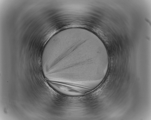 X0000097831185200804111032