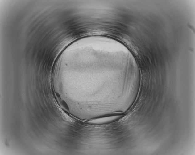 X0000097831186200804111032