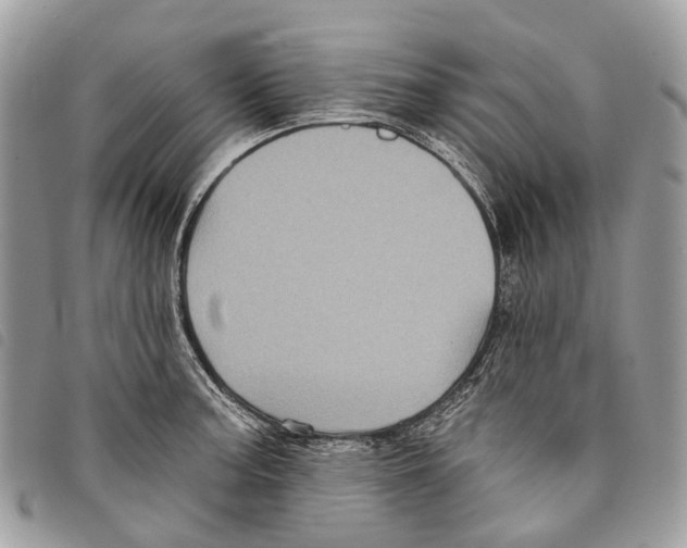 X0000097831187200804111032