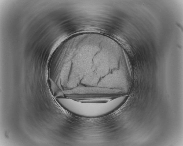 X0000097831188200804111032