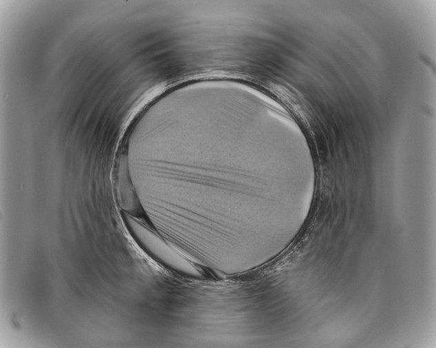 X0000097831189200804111032