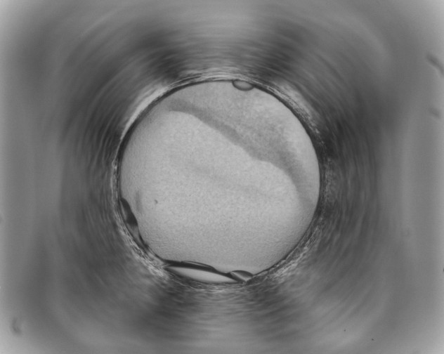 X0000097831190200804111032