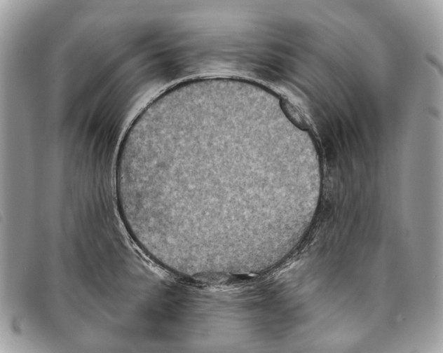 X0000097831191200804111032