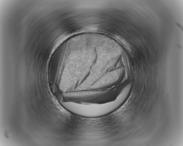 X0000097831192200804111032