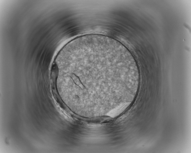 X0000097831200200804111031