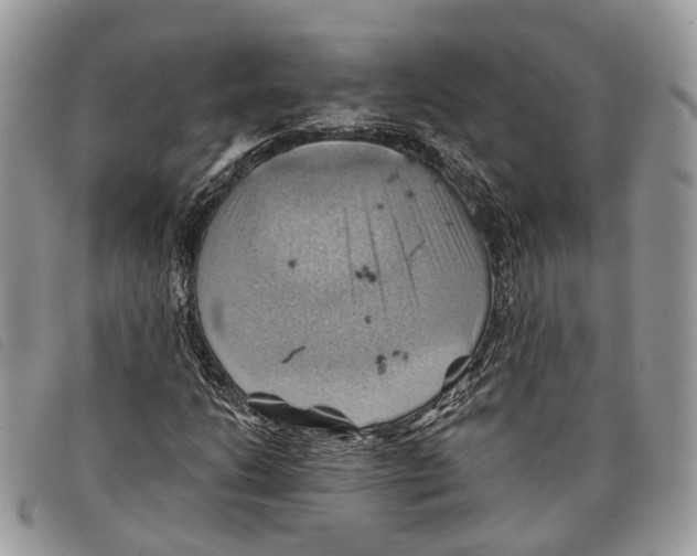 X0000097831206200804111031