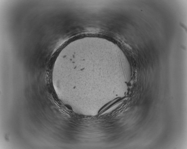 X0000097831208200804111031