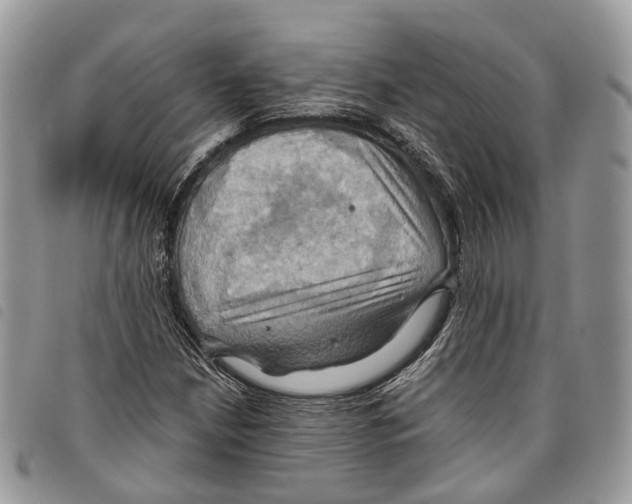 X0000097831210200804111031